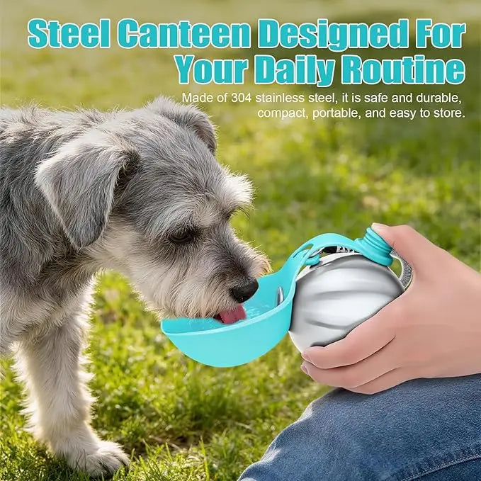 Stainless Steel Portable Dog Water Bottle with Bowl