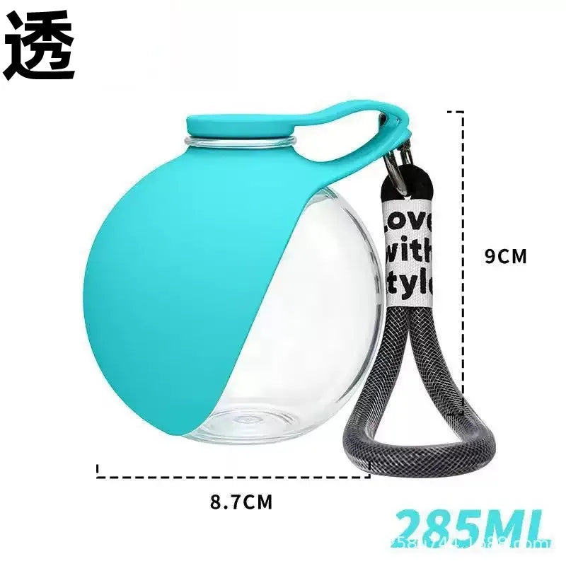 Stainless Steel Portable Dog Water Bottle with Bowl