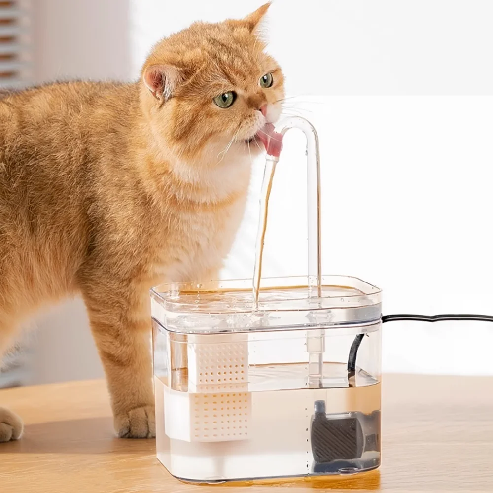Transparent Circulating Pet Water Fountain