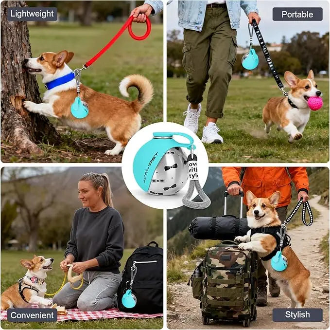 Stainless Steel Portable Dog Water Bottle with Bowl