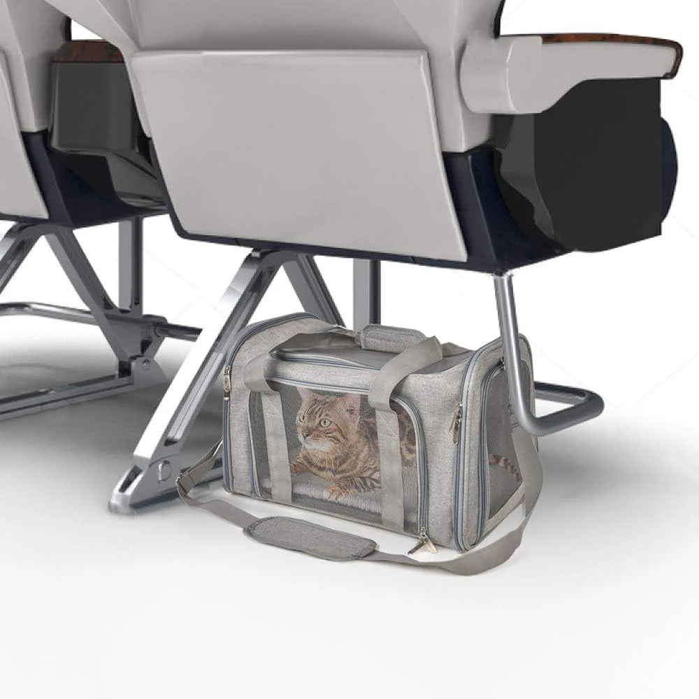 Collapsible Travel Pet Carrier