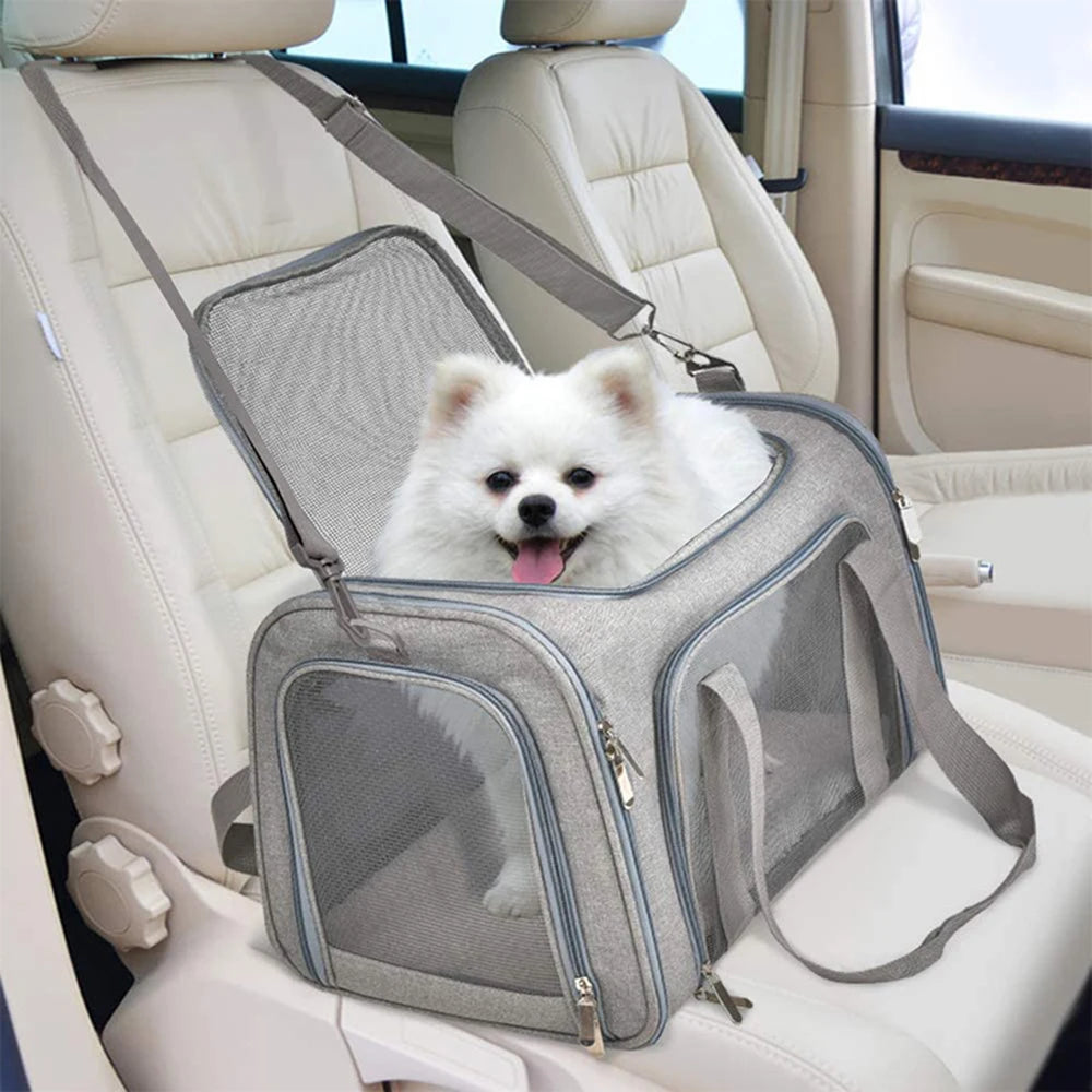 Collapsible Travel Pet Carrier