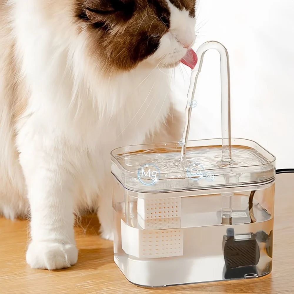 Transparent Circulating Pet Water Fountain