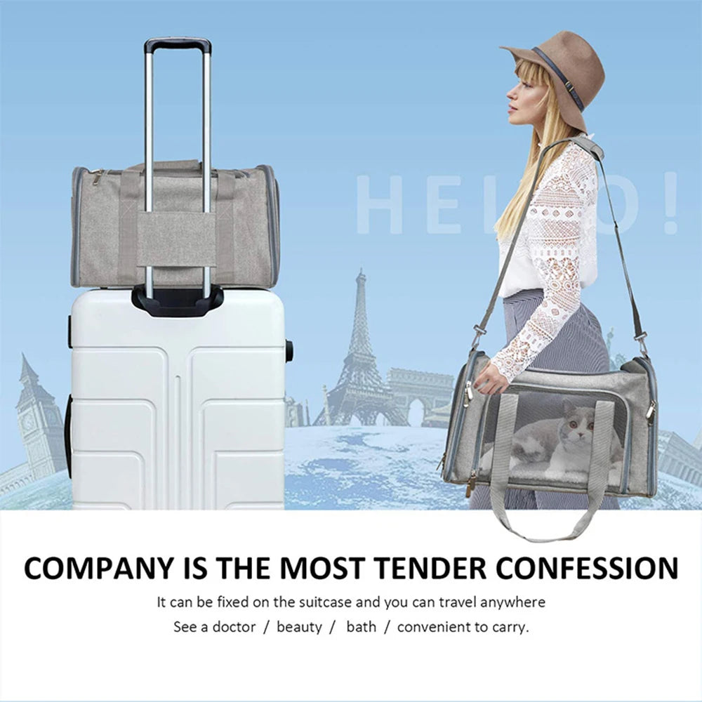 Collapsible Travel Pet Carrier